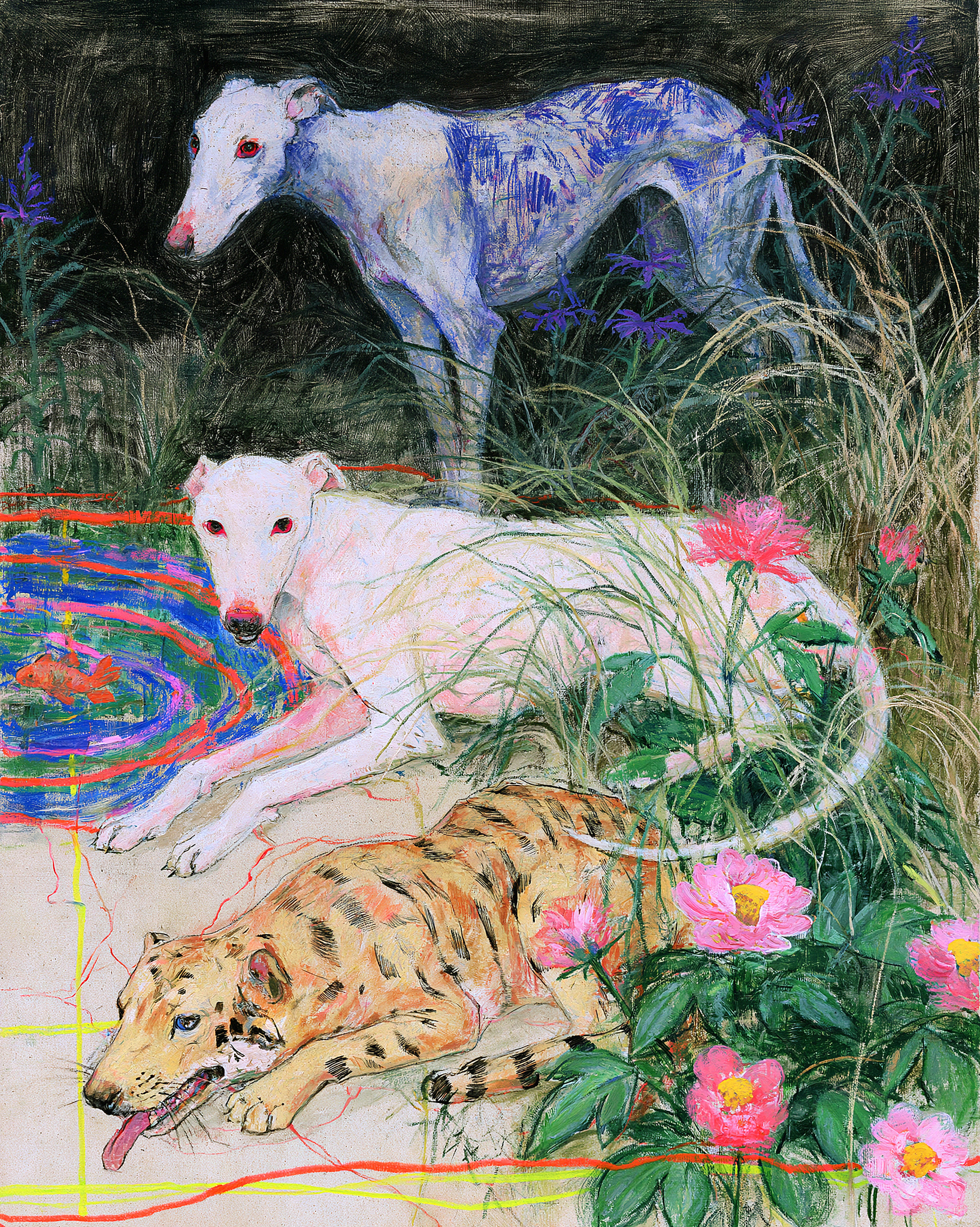Animais De Dentro