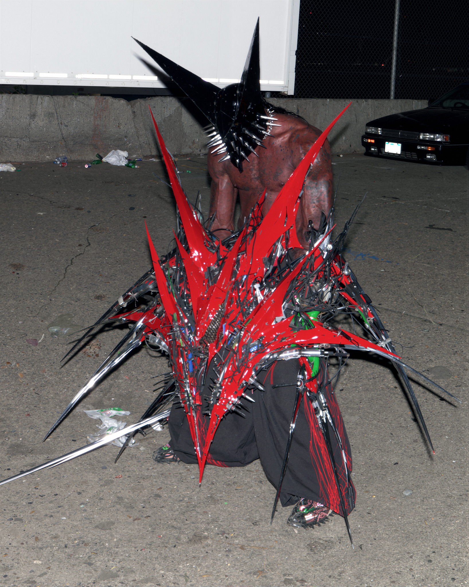 Antena Carnívora