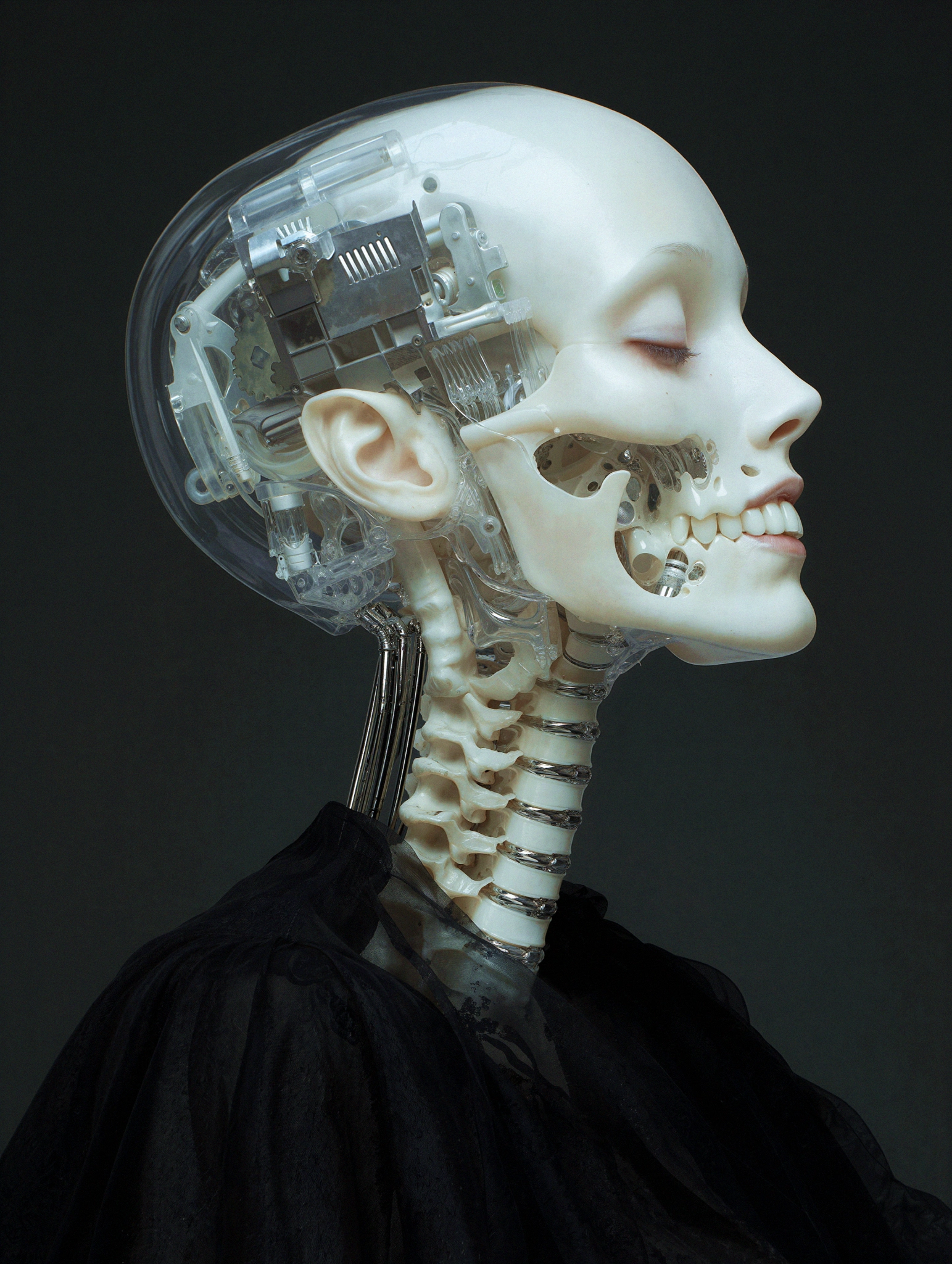 Anatomia Transparente